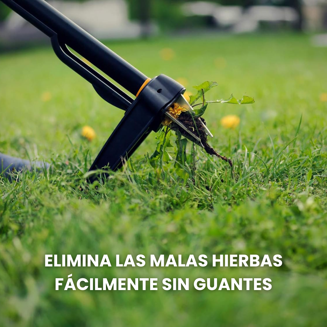 Elimina Malas Hierbas