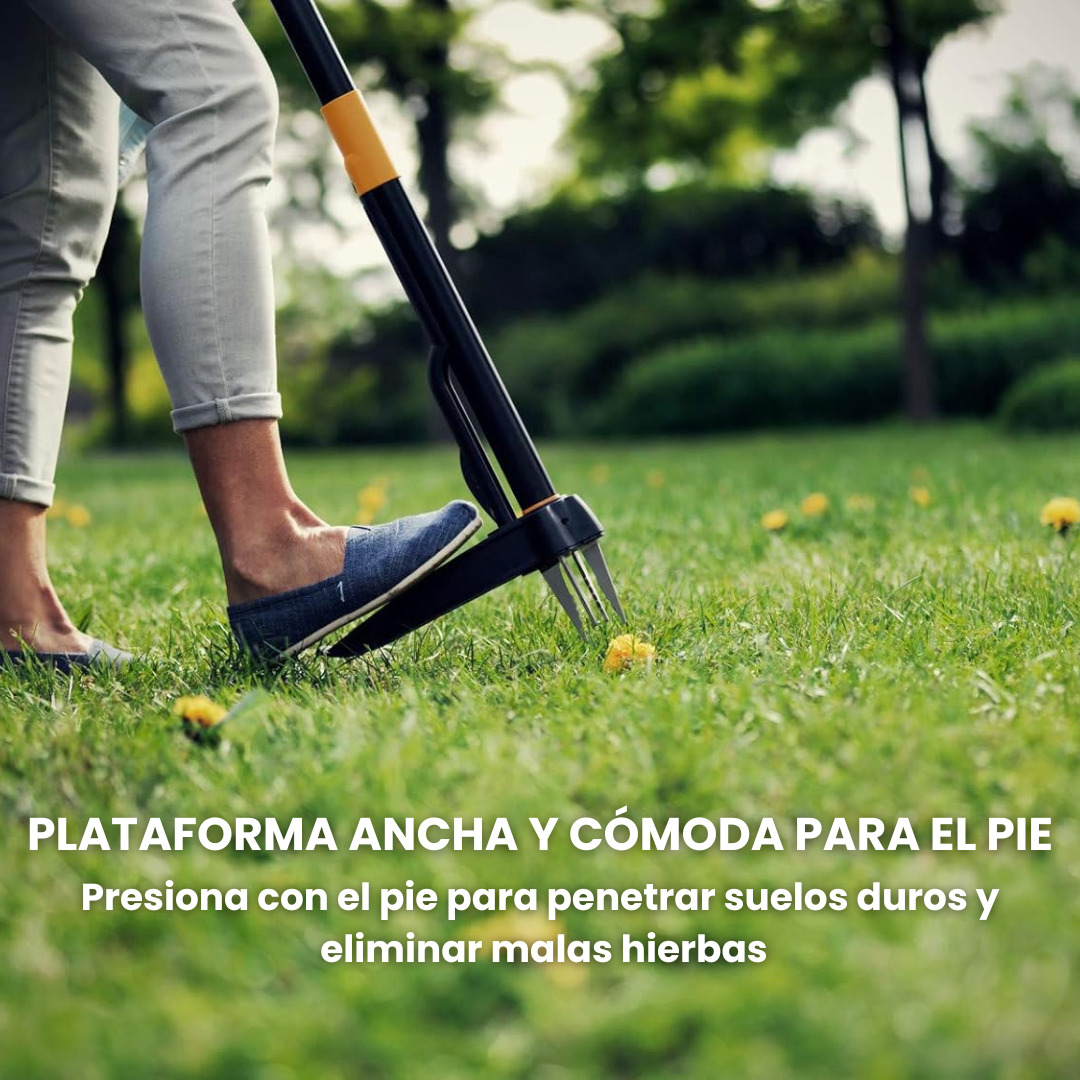 Elimina Malas Hierbas