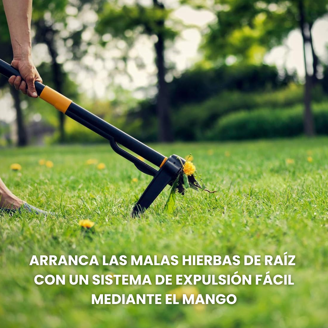 Elimina Malas Hierbas