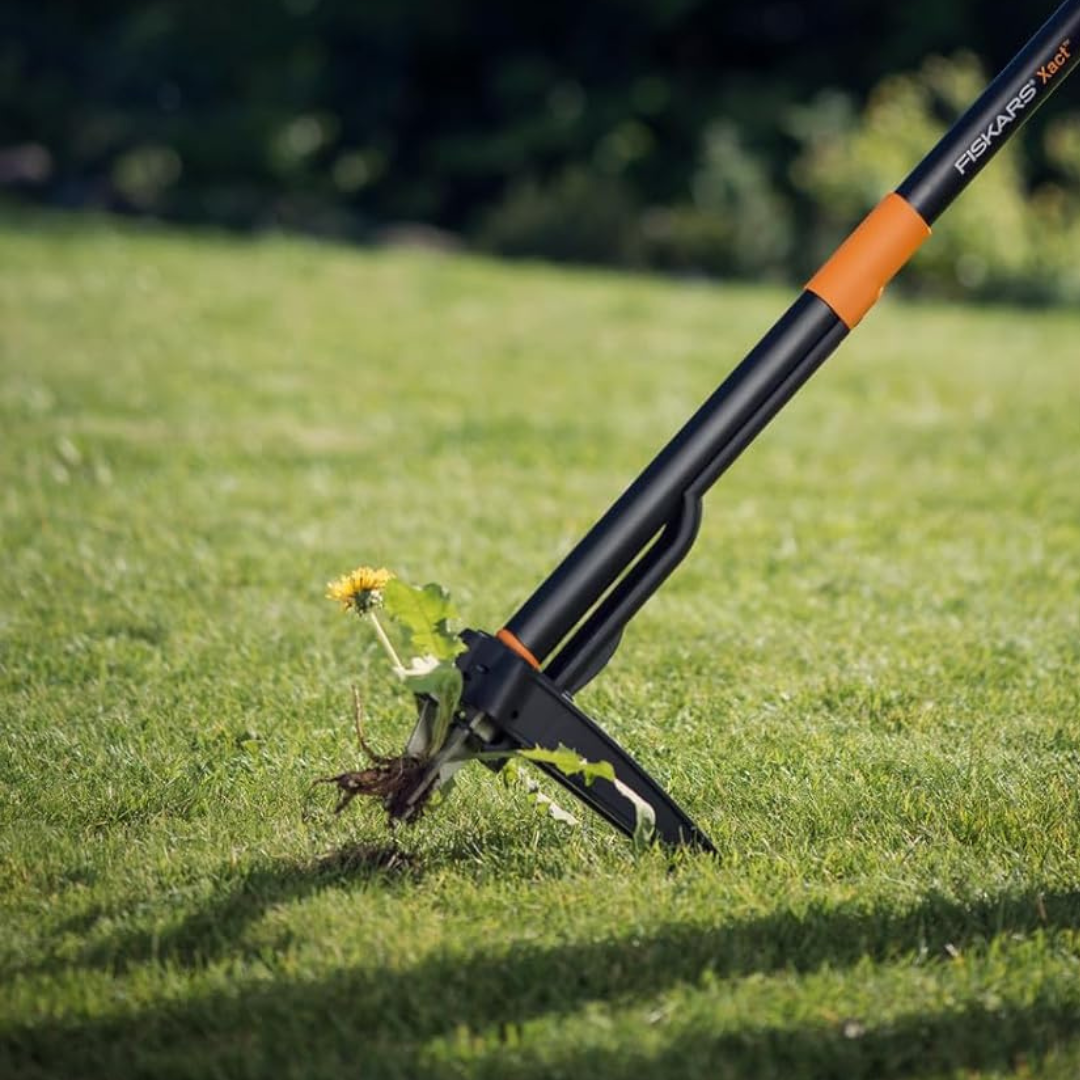 Elimina Malas Hierbas