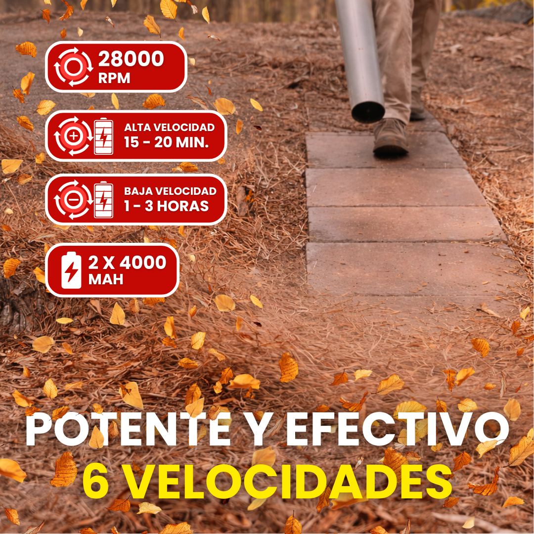 Soplador de hojas a Batería 6 velocidades