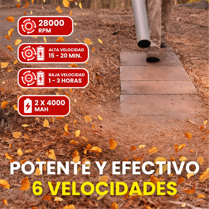 Soplador de hojas a Batería 6 velocidades