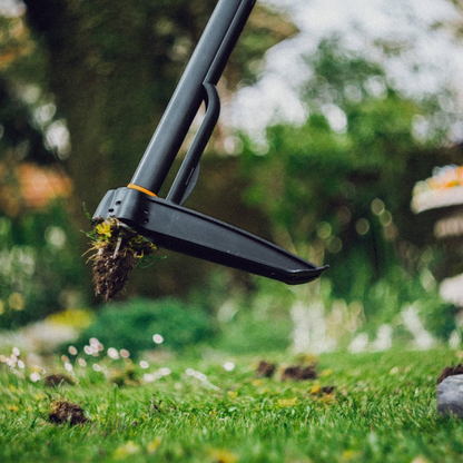 Elimina Malas Hierbas